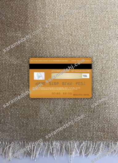 Cuba Nacional bank visa card photolook back